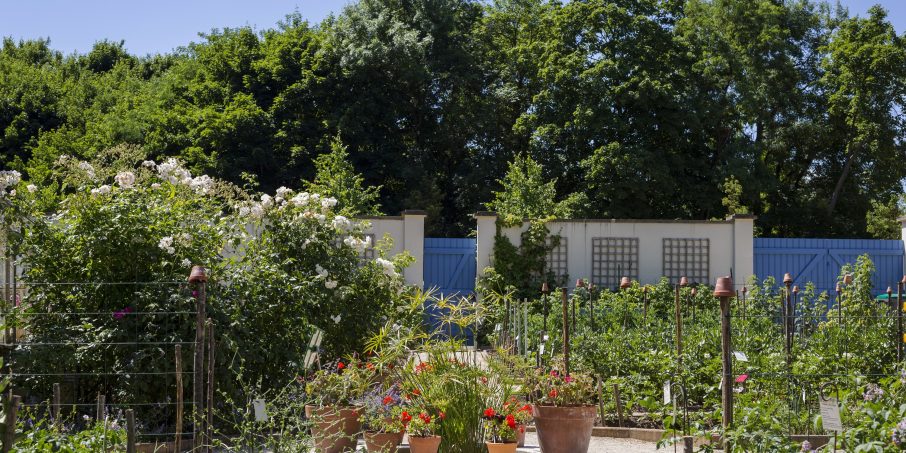Le parc et le potager